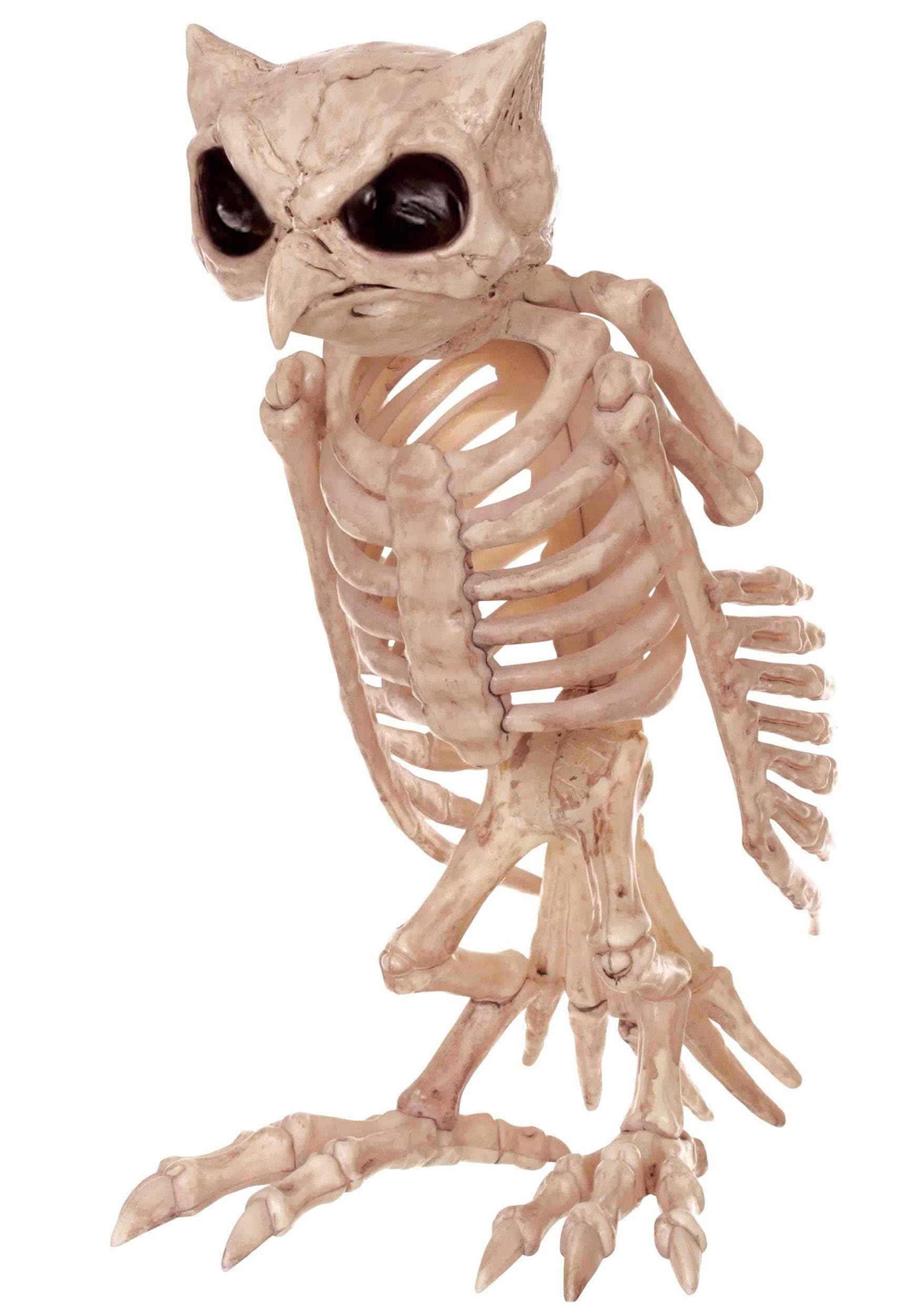 Amazon.com: Crazy Bonez Skeleton Owl : Toys & Games
